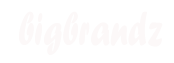 bigbrandz.co.in
